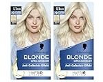 Schonendes Blondieren: Analyse und Vergleich der besten Friseurprodukte für strahlend blonde Haare